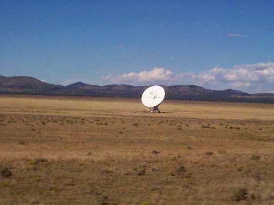 [The Dish Stands Alone]