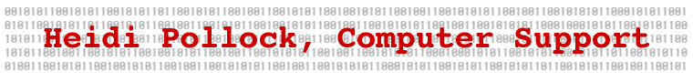 Heidi Pollock, Computer Support